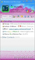 Windows Live Messenger 2009 contact list (256 colors)