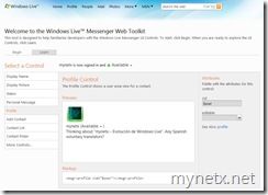 Windows Live Messenger Web Toolkit Interactive SDK (click to enlarge)