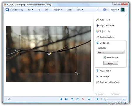 Windows Live Photo Gallery: Crop photo