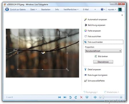 Windows Live Fotogalerie: Foto zuschneiden